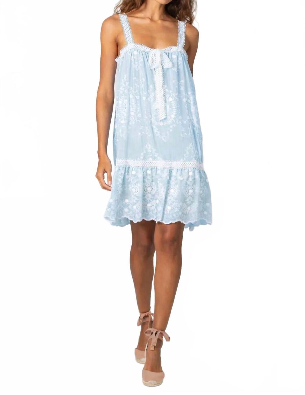 NEW MIGUELINA havana floating flower voile embroidery mini dress in sky blue